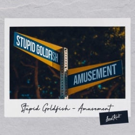 STUPID GOLDFISH - AMUSEMENT